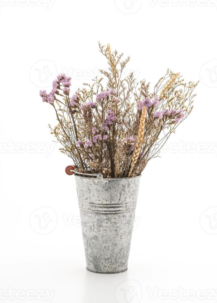 statice e caspia fiori in un vaso su sfondo bianco foto