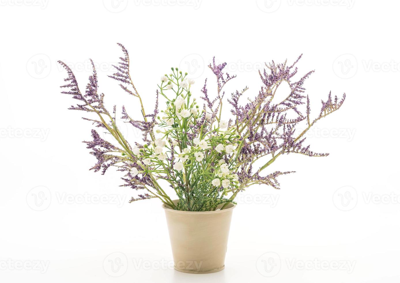statice e caspia fiori in un vaso su sfondo bianco foto