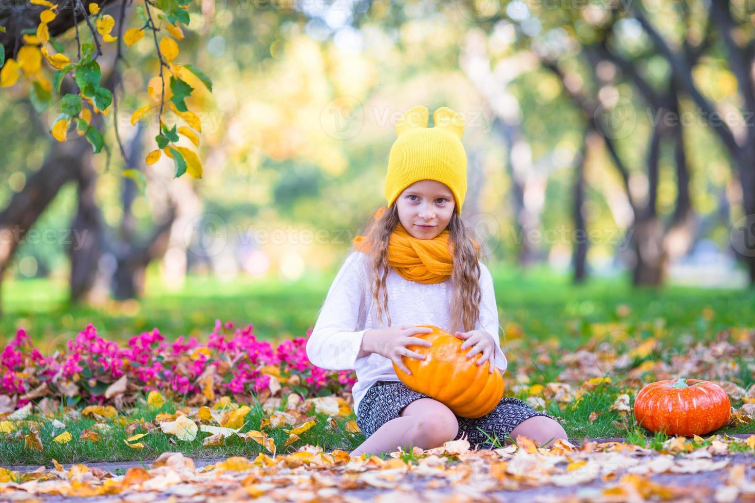 adorabile poco ragazza con zucca all'aperto a bellissimo autunno giorno. trucco o trattare foto