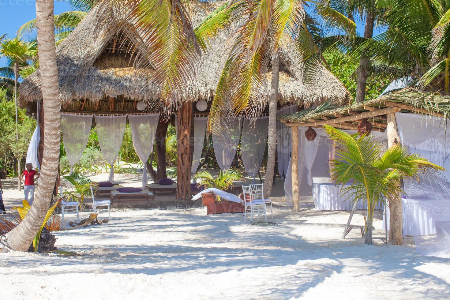 lusso Hotel a tropicale ricorrere su oceano riva con palma alberi foto