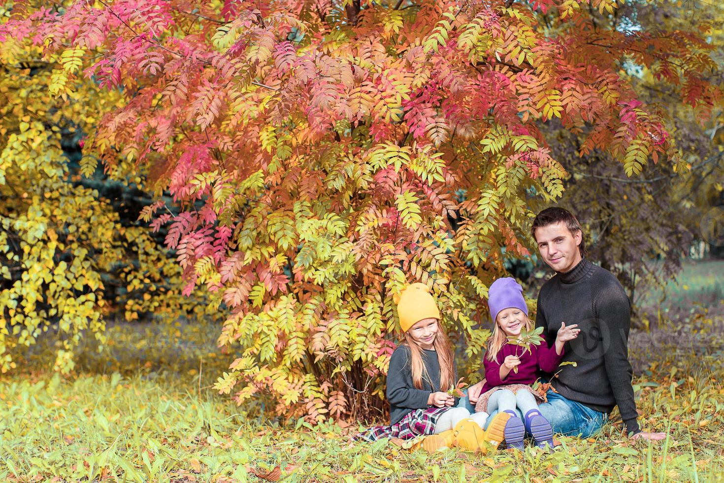 contento famiglia nel autunno parco all'aperto foto