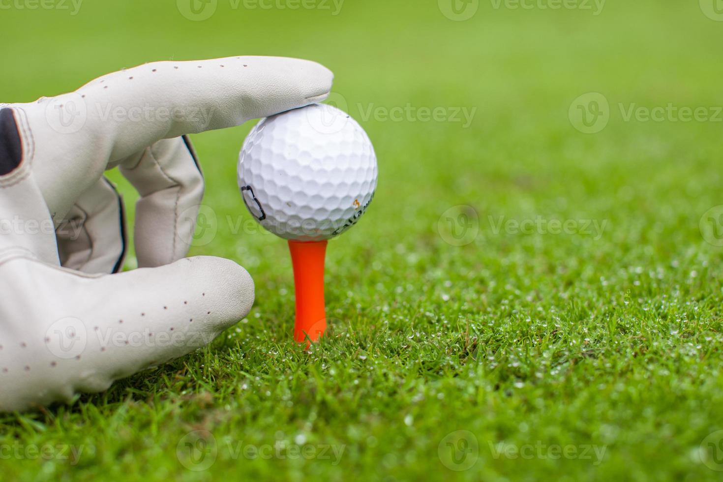 mano collocazione pallina da golf su tee al di sopra di bellissimo golf corso con verde erba foto