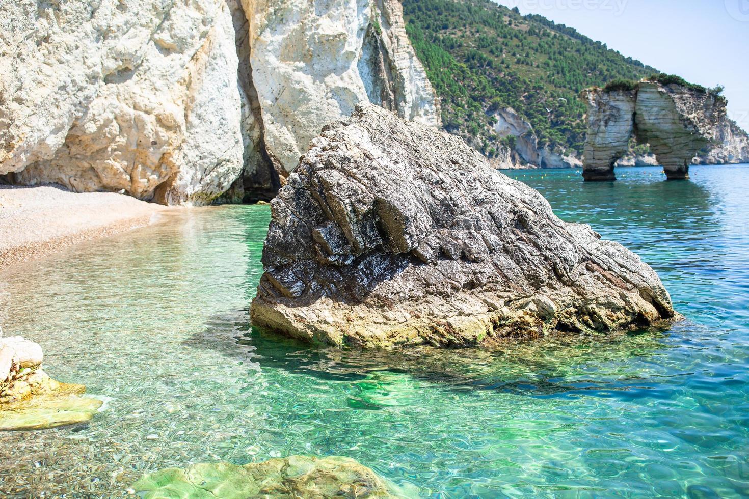 sbalorditivo bellissimo bellissima Visualizza di tropicale bianca spiaggia e mare su soleggiato estate giorno foto