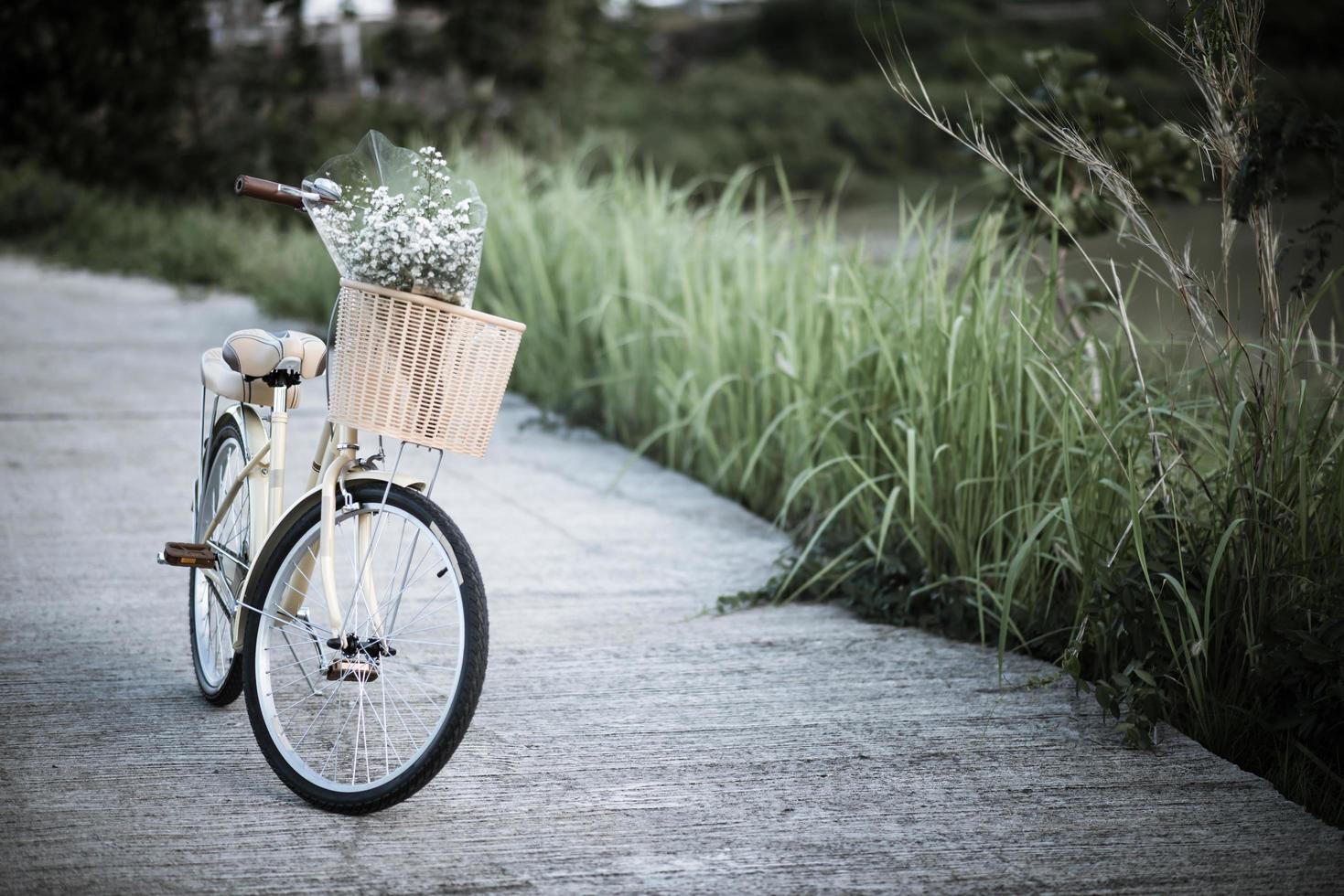 bicicletta parcheggiata in strada nel parco foto