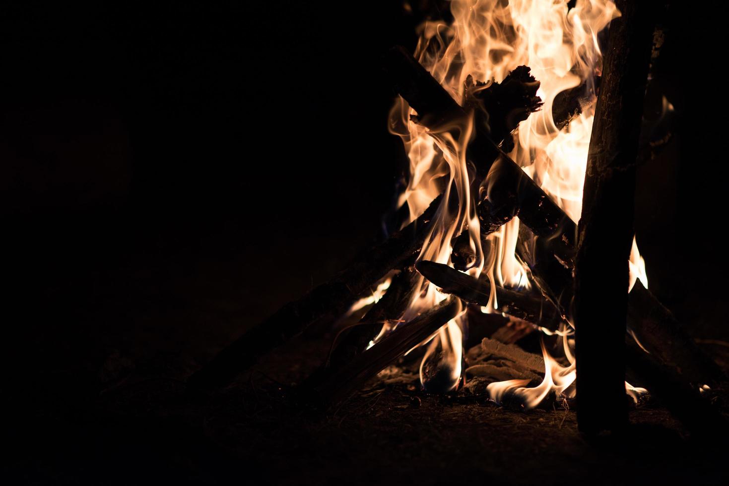 fuoco da campo nella notte oscura foto