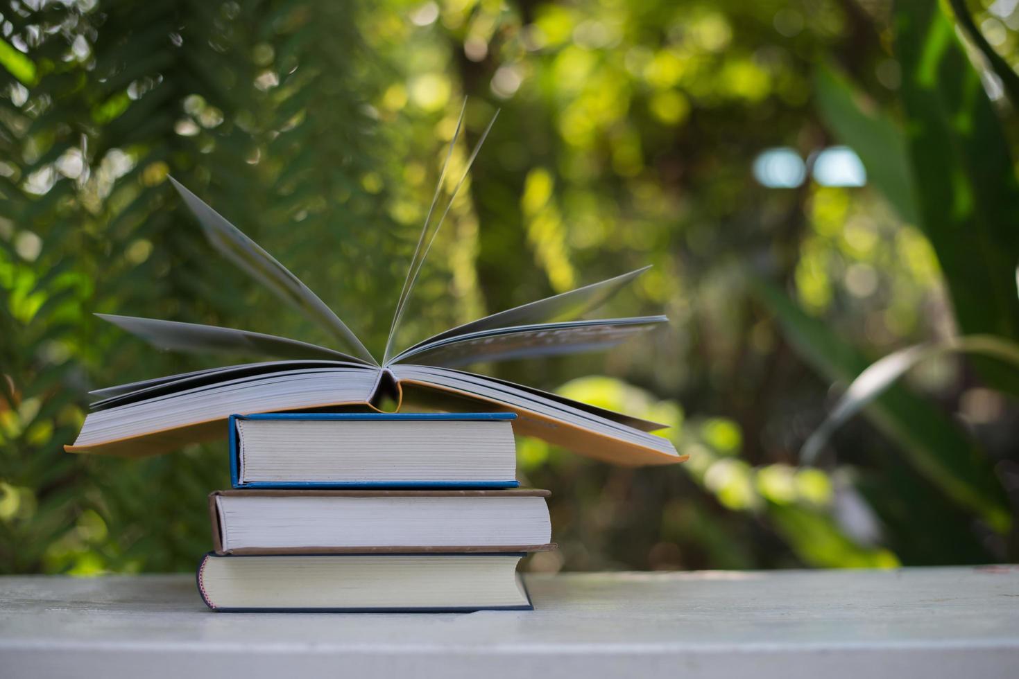 pila di libri sullo sfondo della natura foto