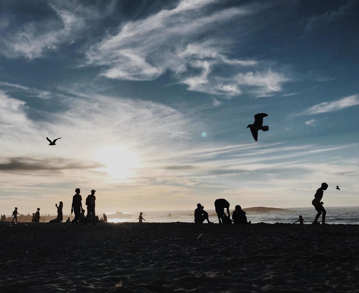 silhouette di persone che si godono la spiaggia foto
