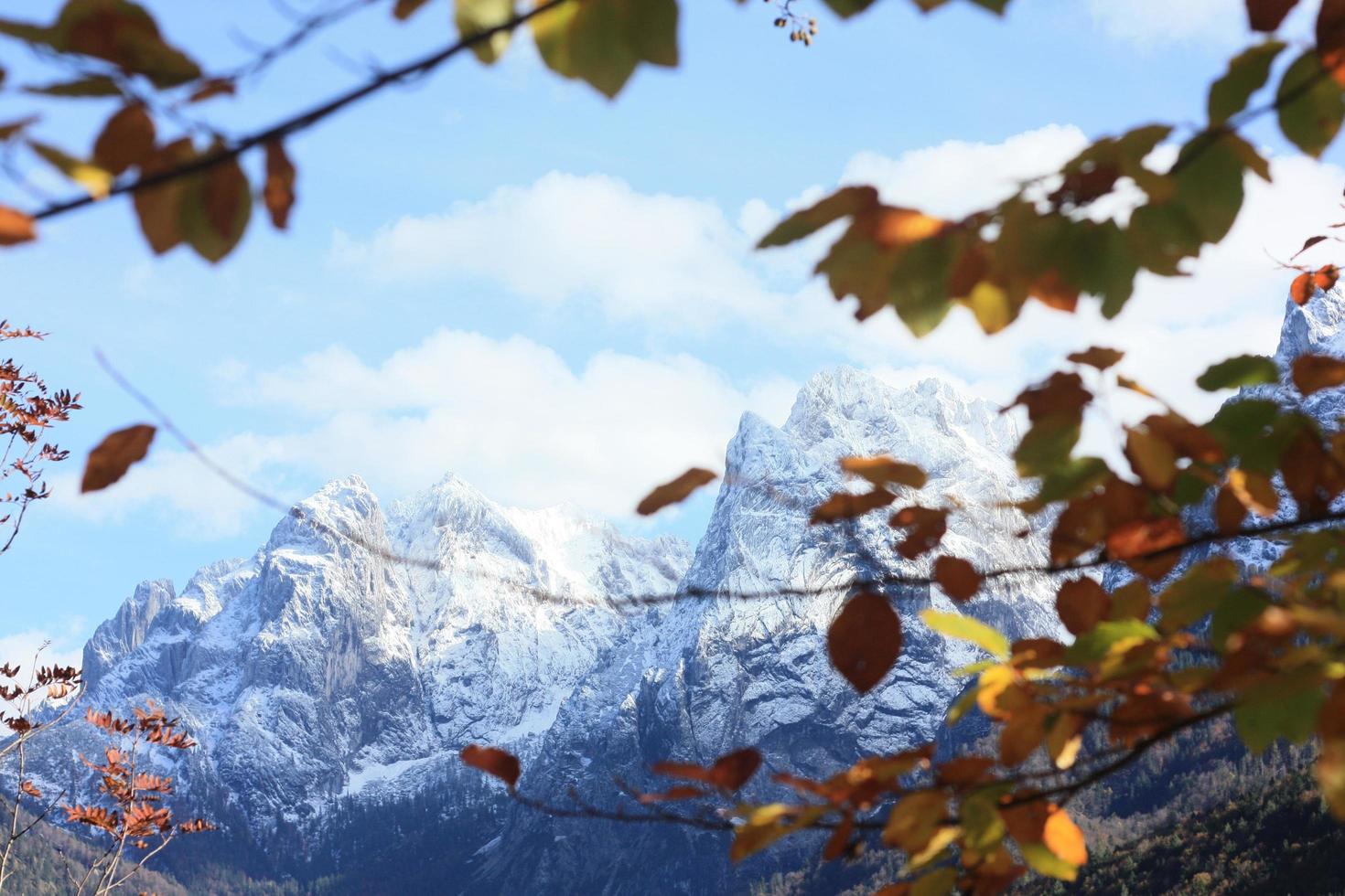 montagne innevate attraverso le foglie d'autunno foto