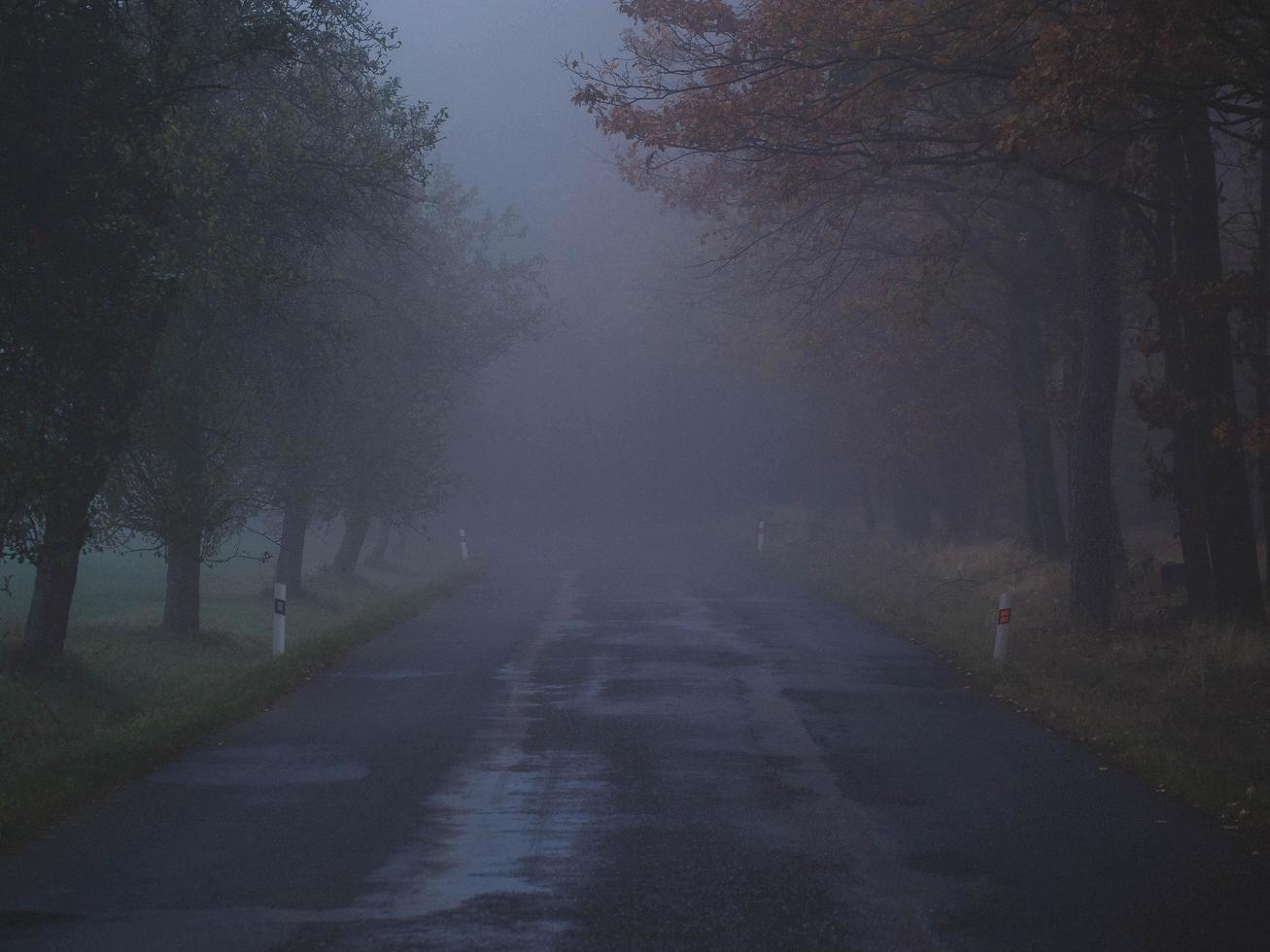 nebbiosa giornata autunnale foto