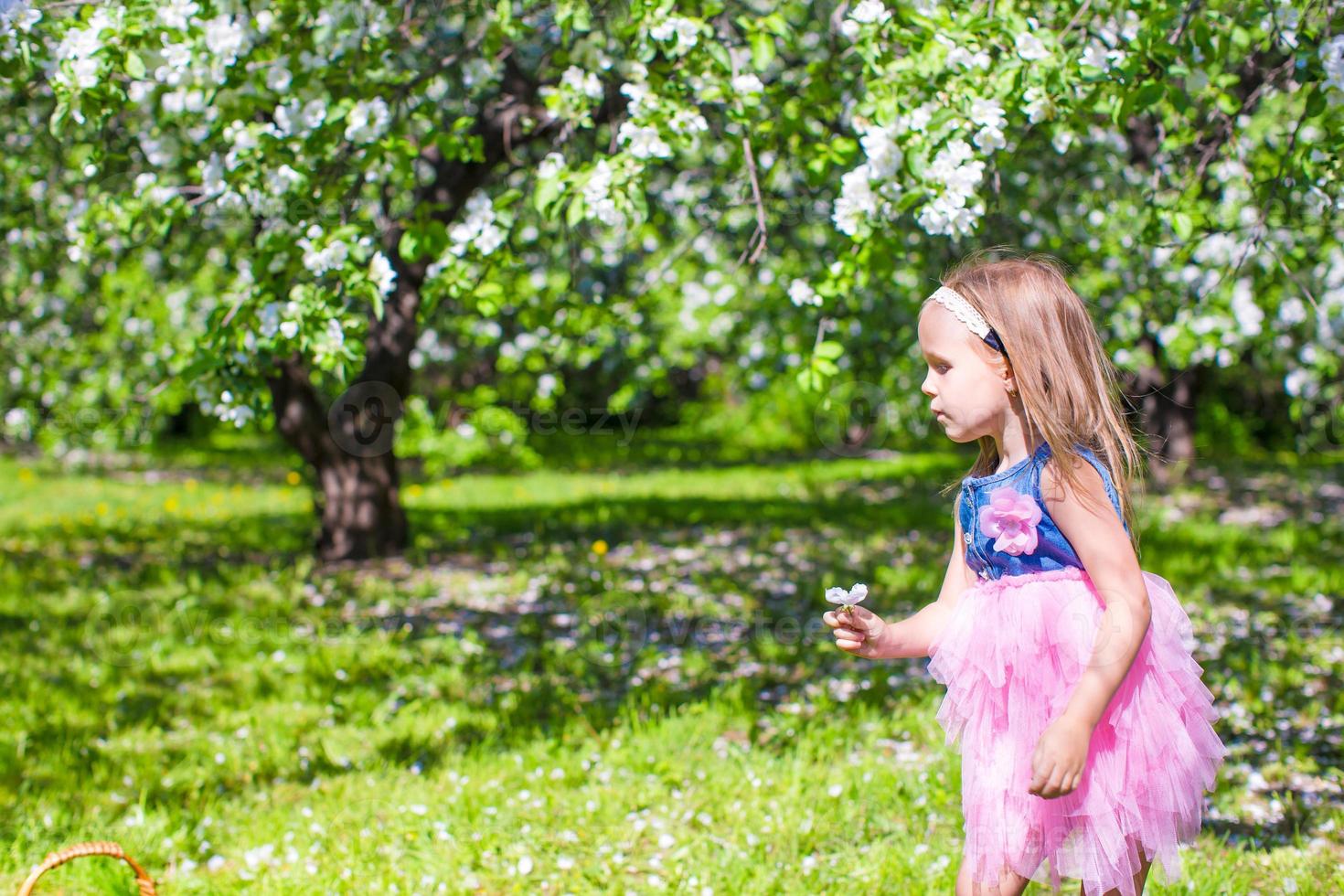 adorabile poco ragazza avere divertimento nel fioritura Mela albero giardino a Maggio foto