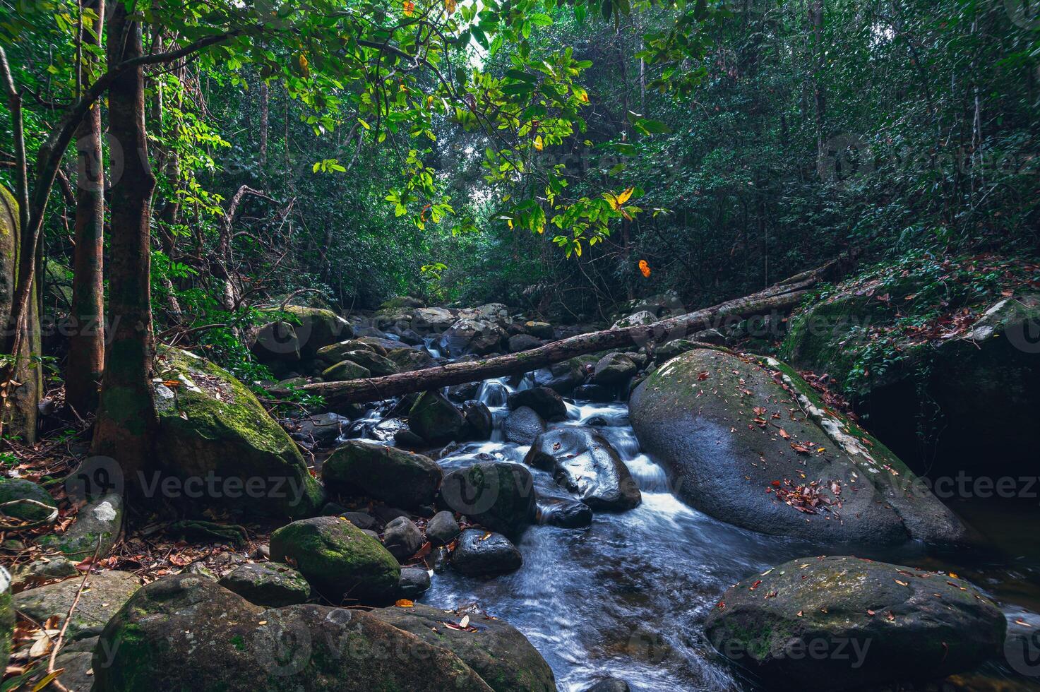 ruscello nel parco nazionale delle cascate di khao chamao foto