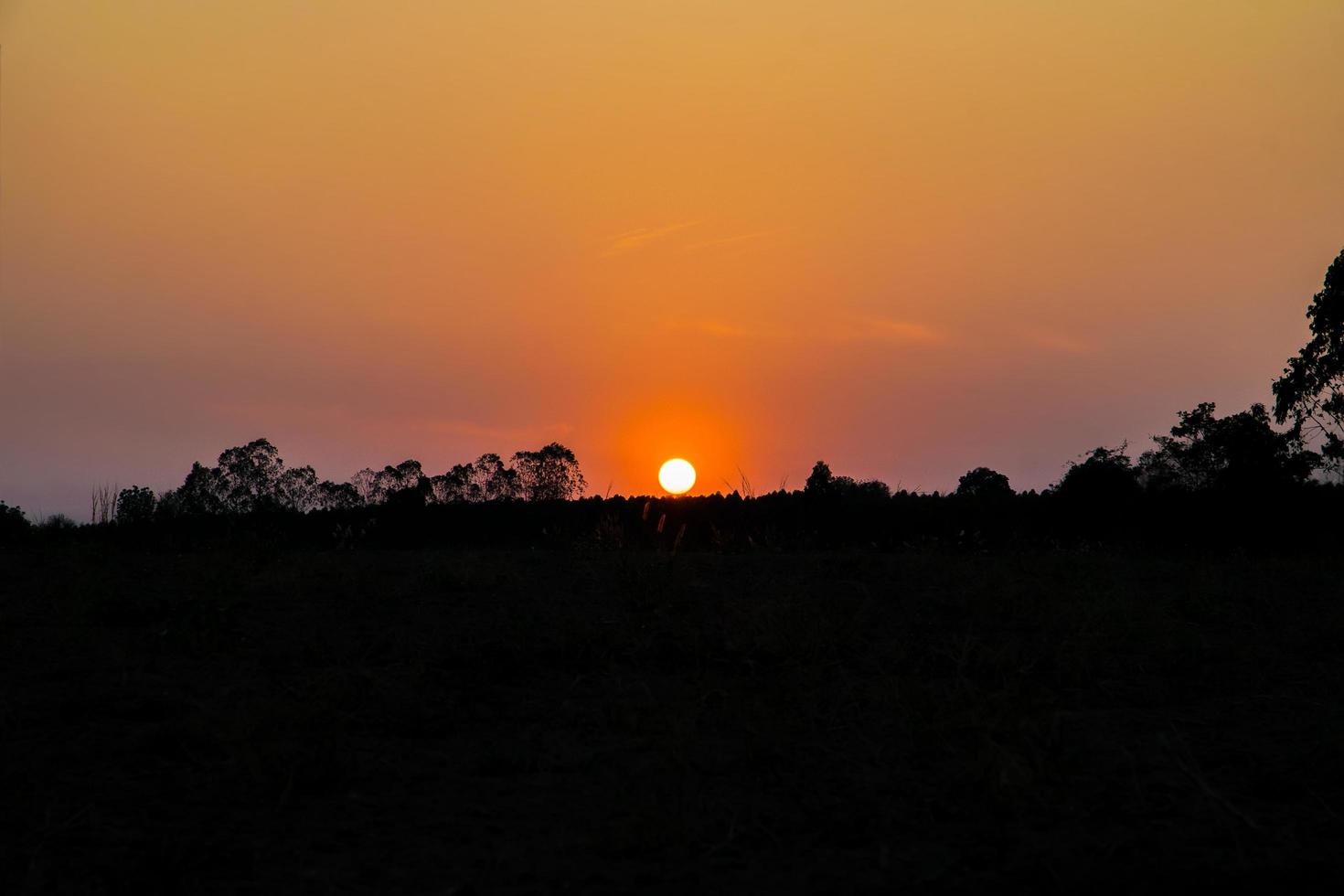 tramonto sulla foresta foto