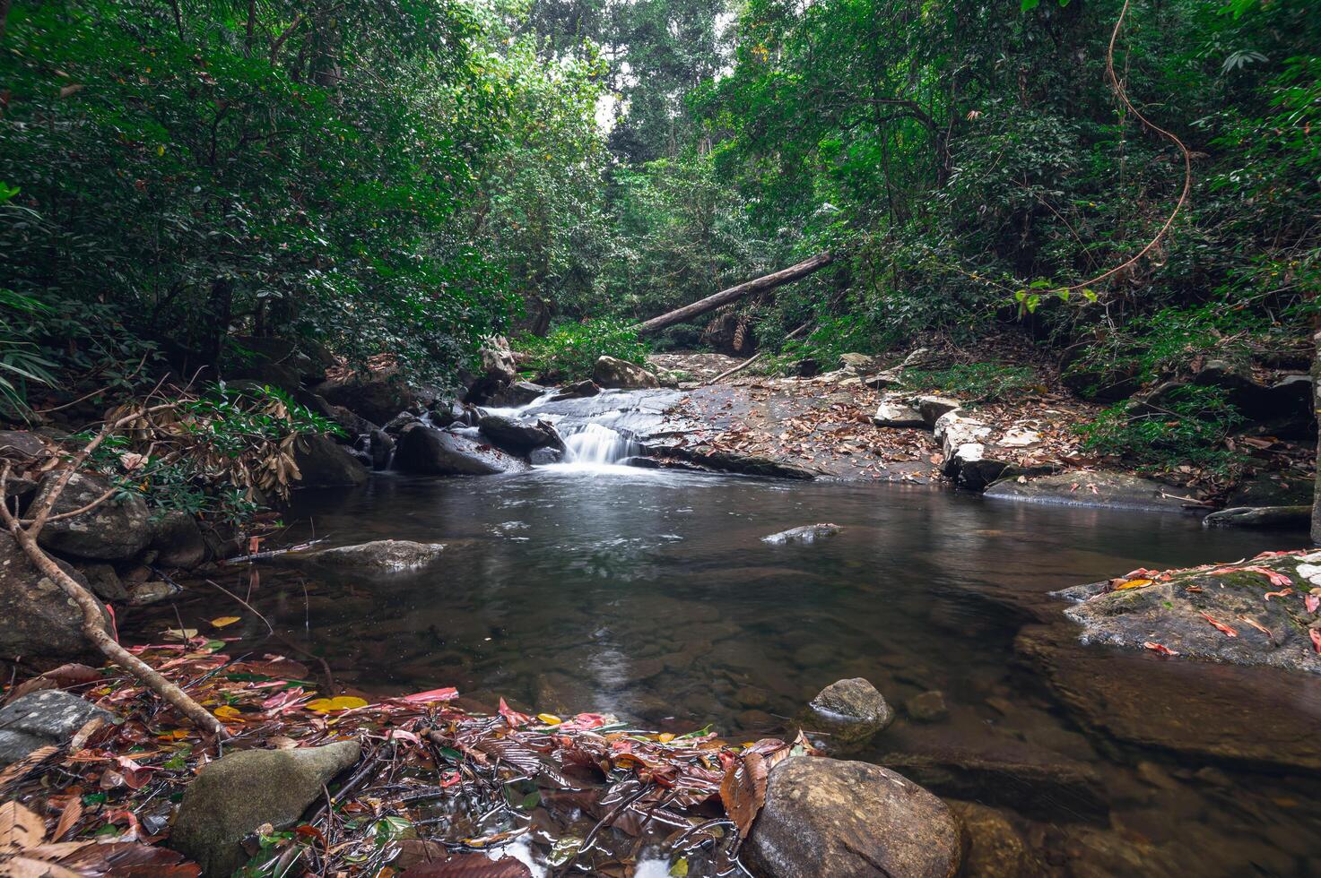 fiume nel parco nazionale delle cascate di khao chamao foto