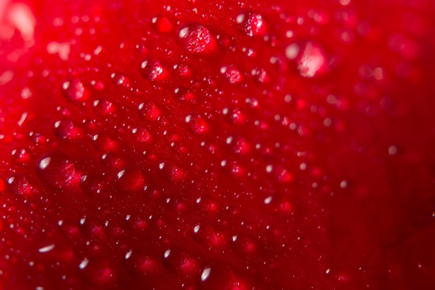 gocce d'acqua sui petali dei fiori foto