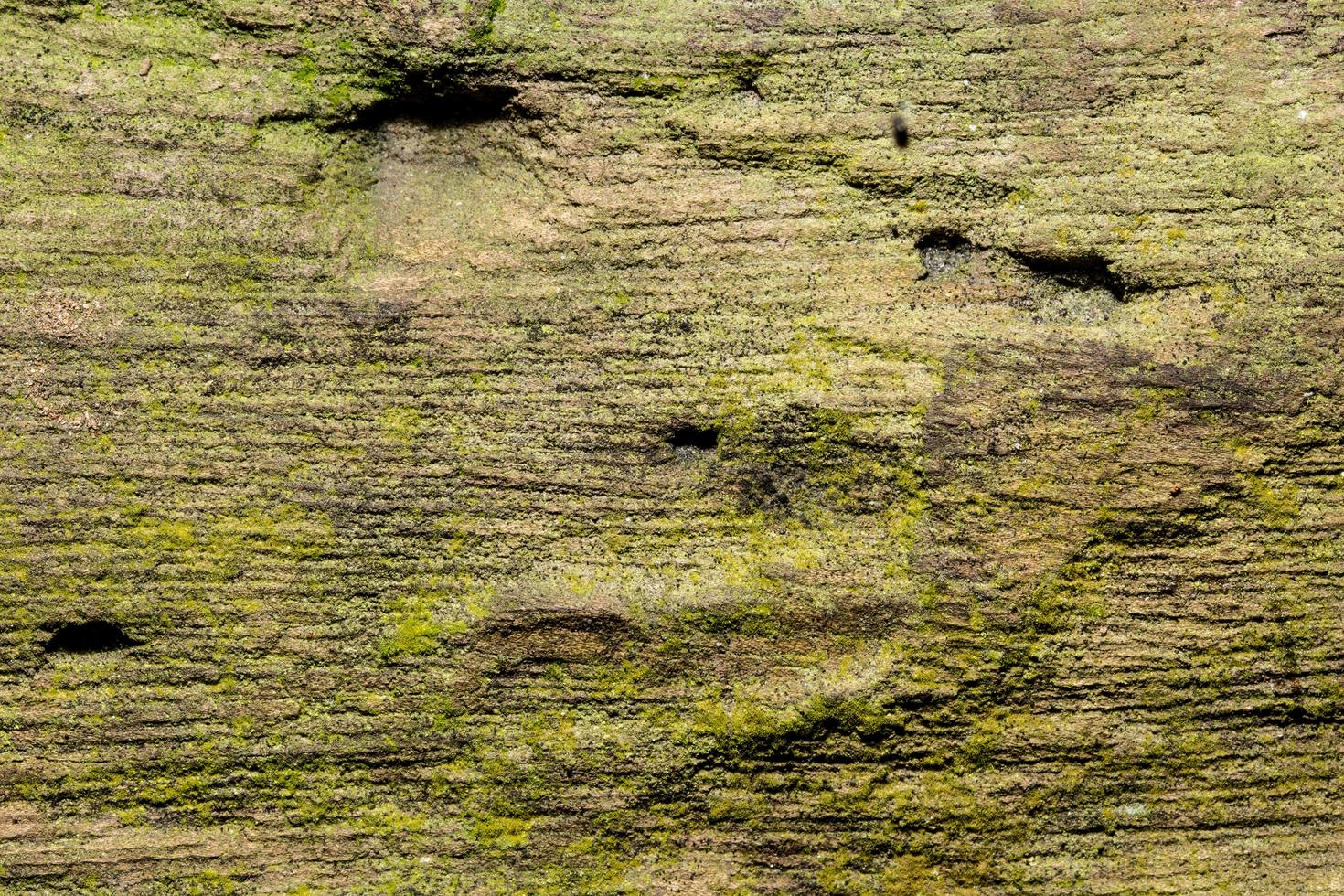 struttura di legno foto