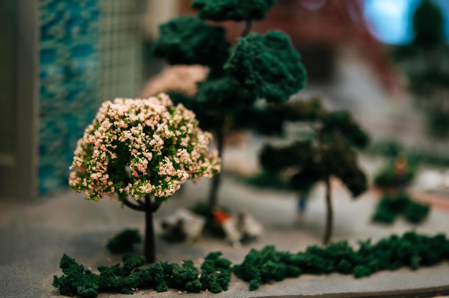 primo piano di un piccolo albero in miniatura con fiori in un parco foto