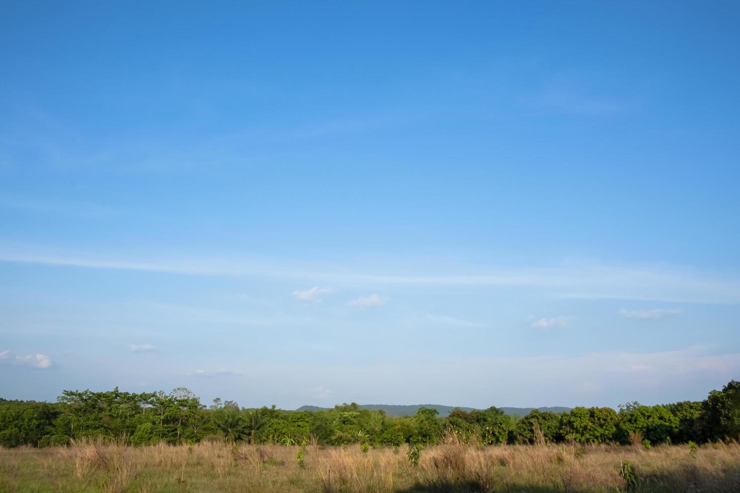 paesaggio in Thailandia in campagna foto