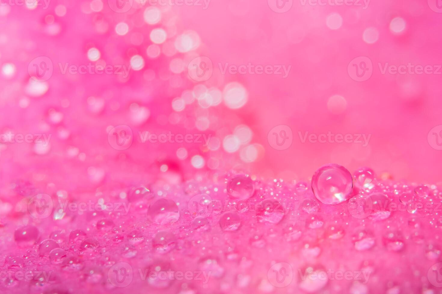 gocce d'acqua sui petali di rosa foto