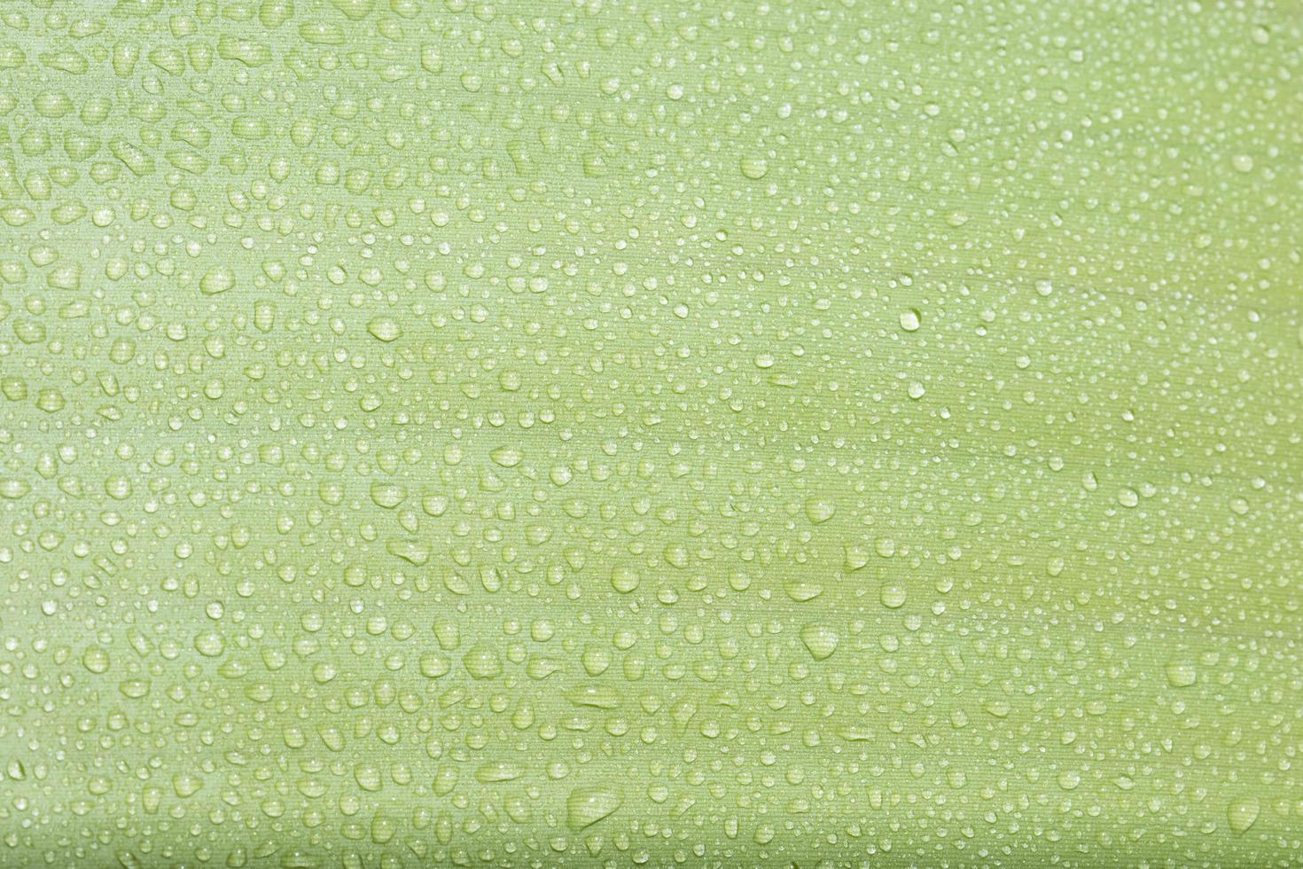 gocce d'acqua su una foglia verde foto