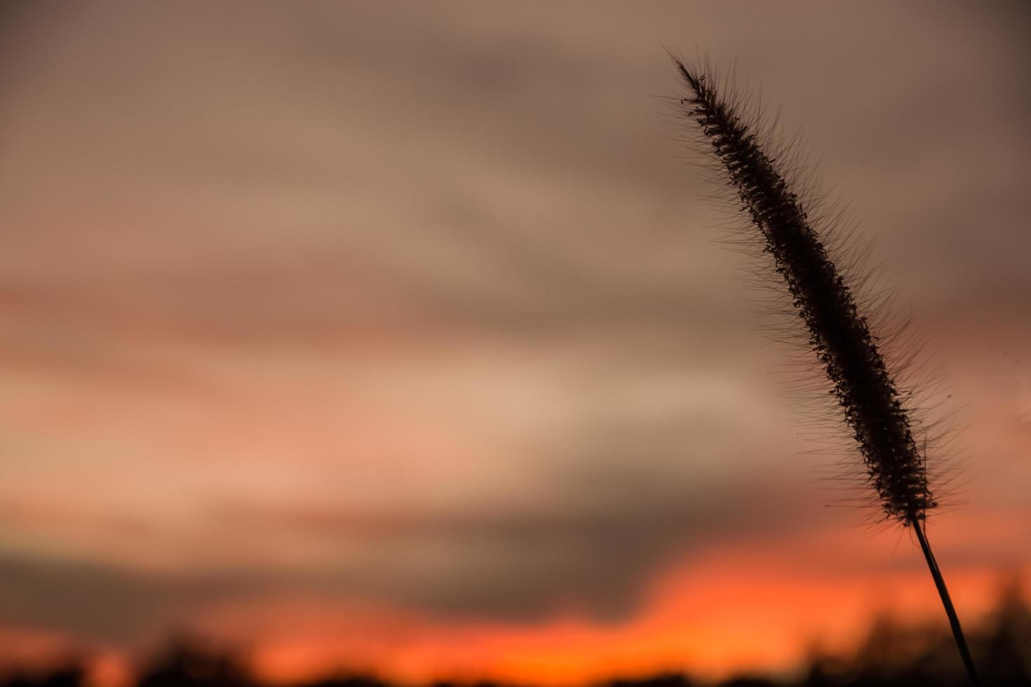 il cielo al tramonto foto