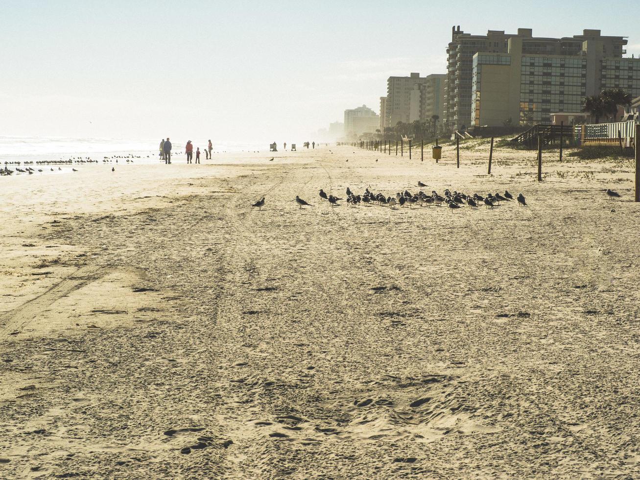 daytona beach, florida, inverno, 2016 - una mattina sulla spiaggia foto