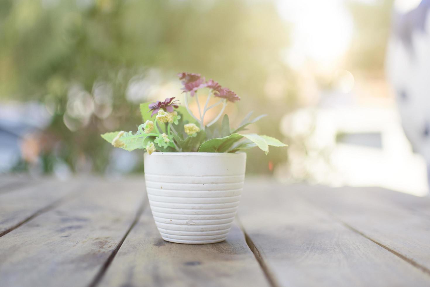 pianta in vaso su un tavolo foto