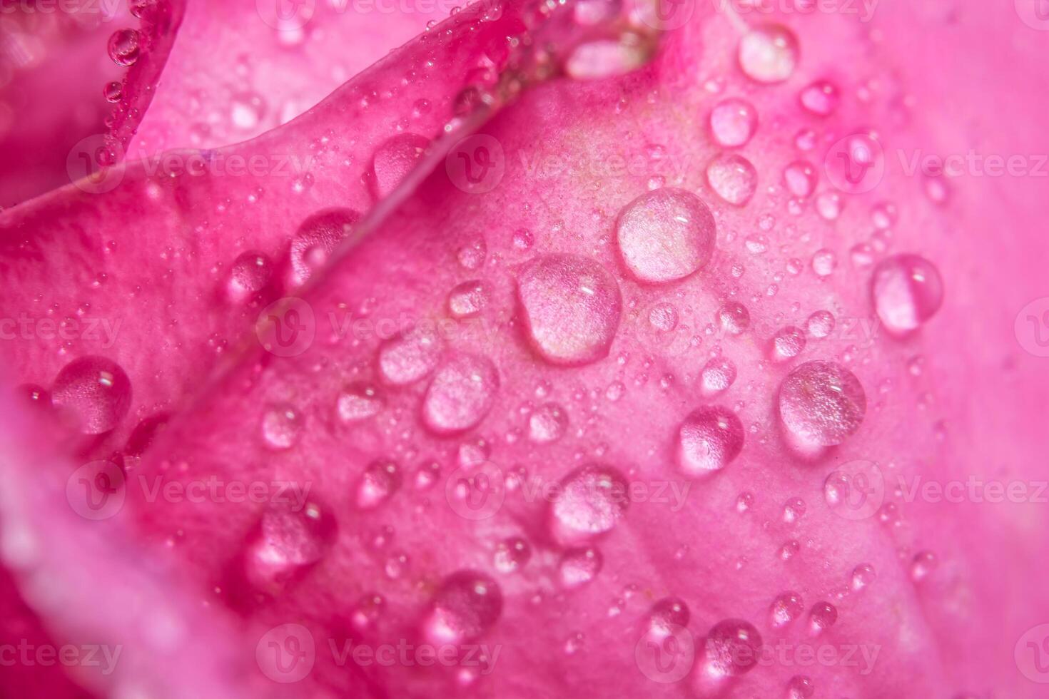 primo piano di gocce d'acqua foto