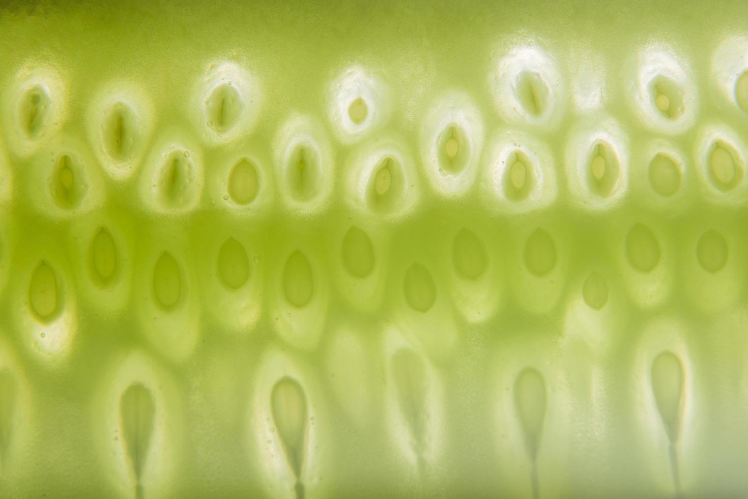 modello di semi di cetriolo foto