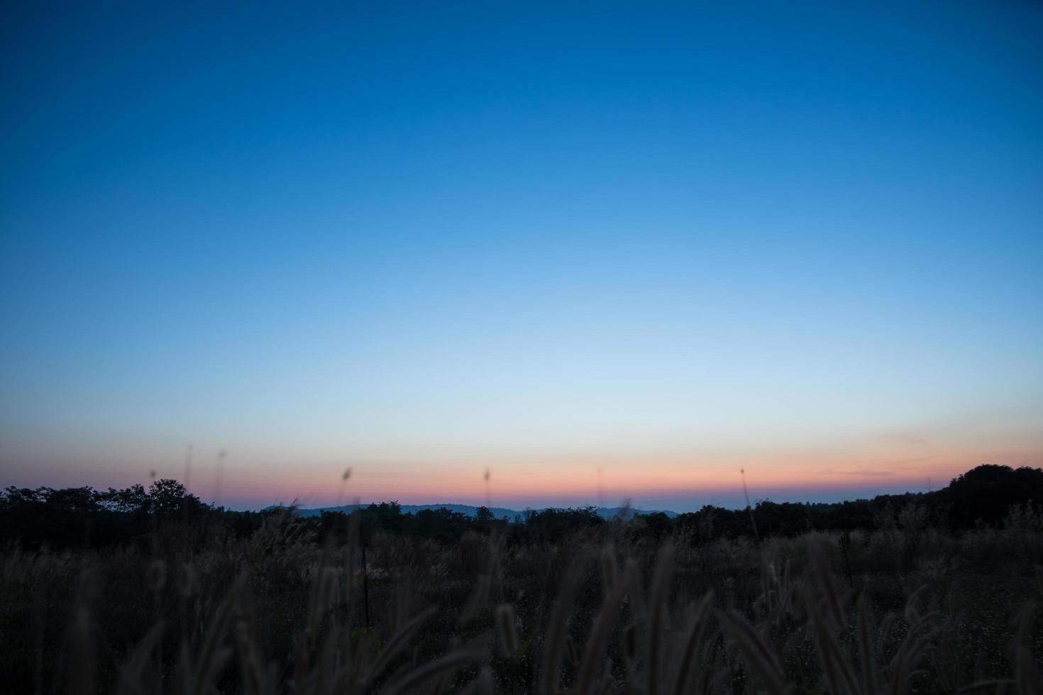 paesaggio all'alba foto