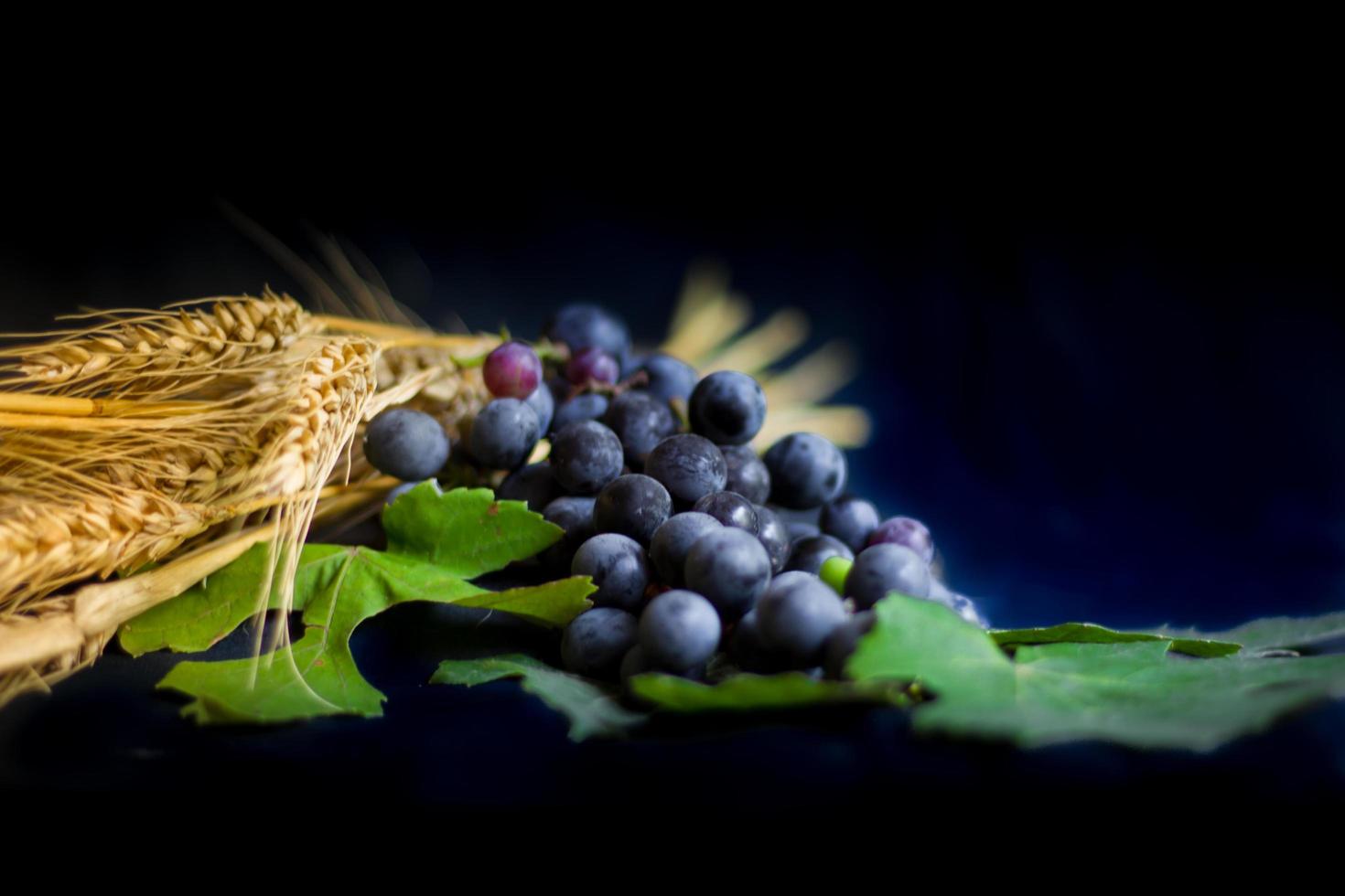 Grano uva pane e corona di spine su nero sfondo come un' simbolo di cristianesimo foto