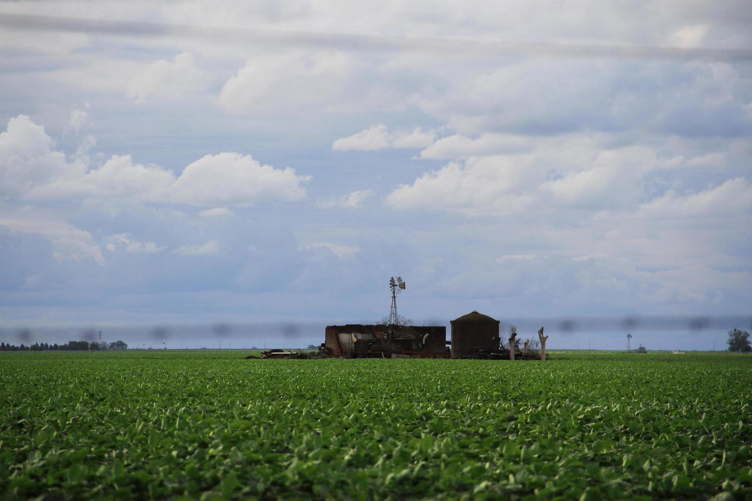 soia colture nel pampa argentina, Provincia di Santa fe foto