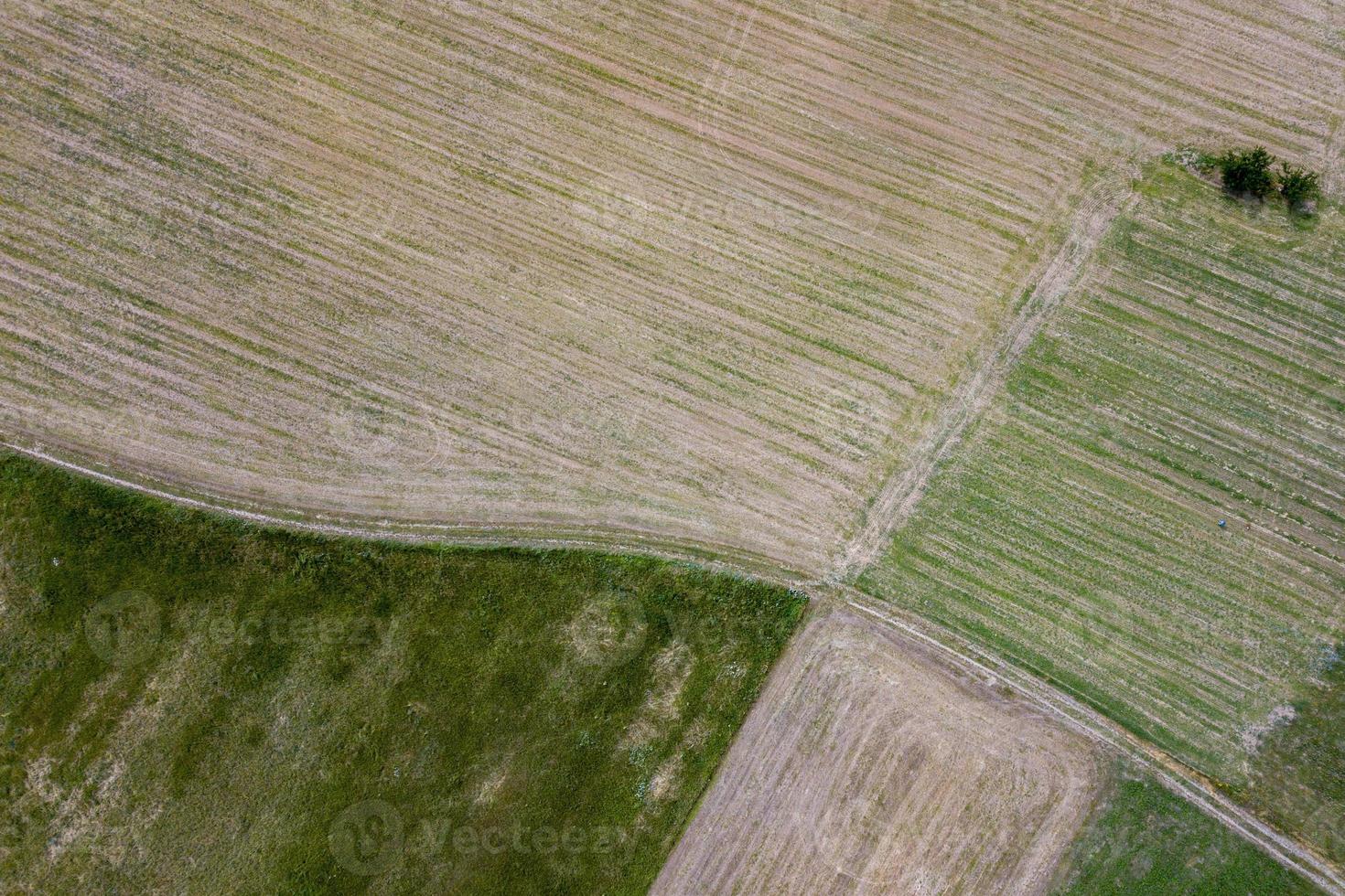 confezionato fieno balla raccolto foraggio palle aereo Visualizza foto