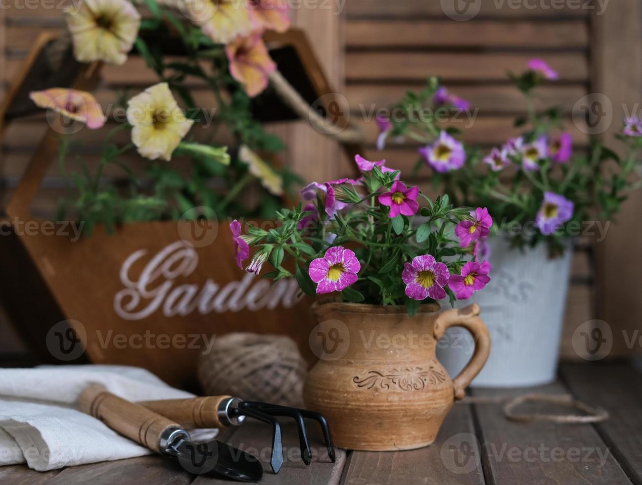 primavera ancora vita di fiore piantine di decorativo petunie e giardinaggio oggetti. rustico ancora vita foto