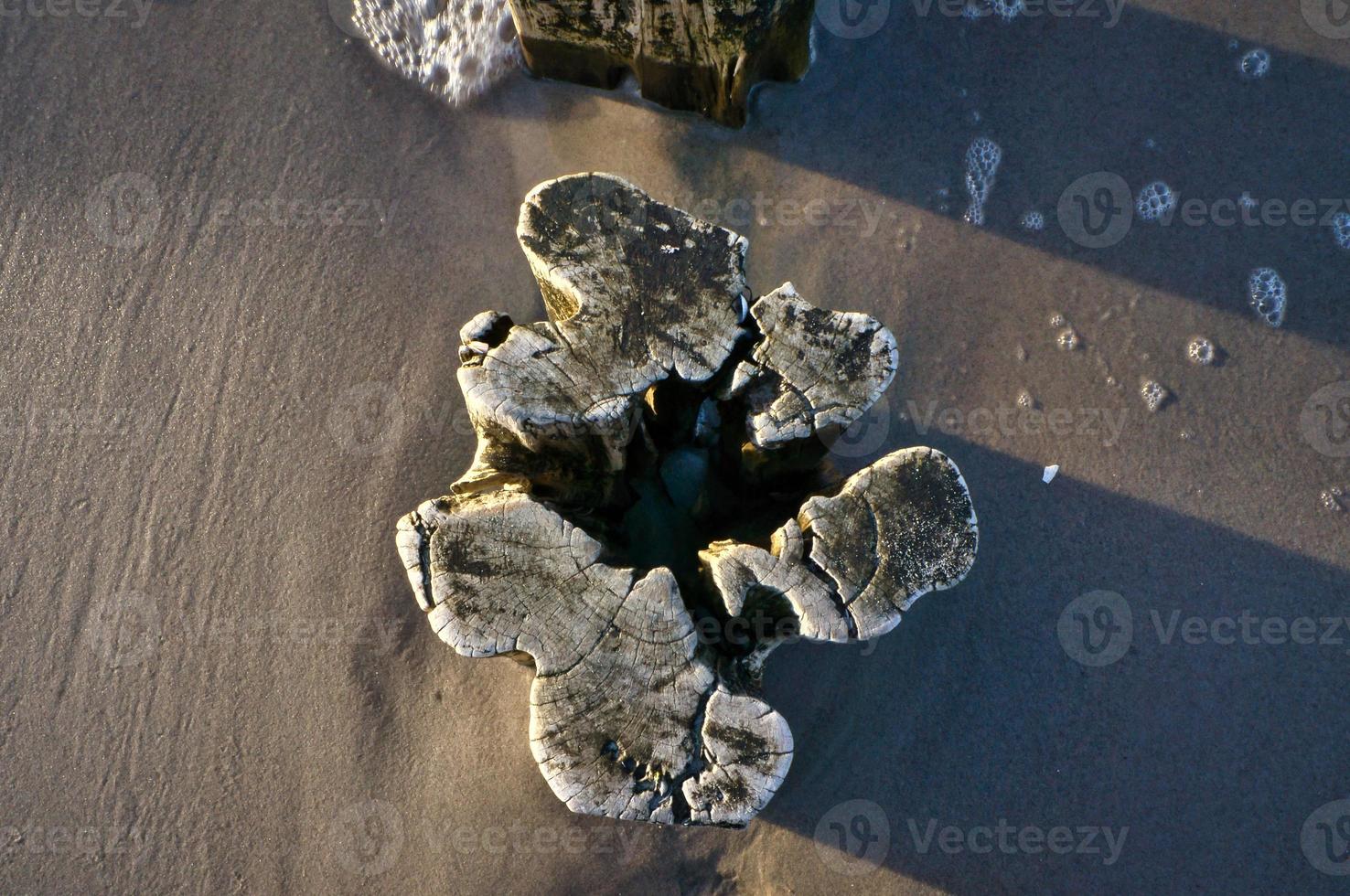 singolo frangiflutti su il spiaggia. ondulato forma di il Di legno. sabbia e mare in giro il tronco foto