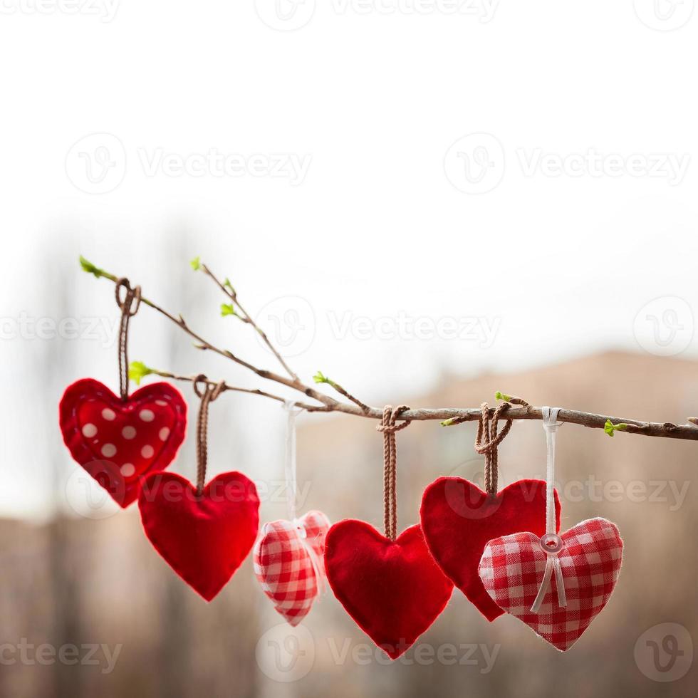 San Valentino giorno amore Bellissima. cuore sospeso su ramo di albero foto