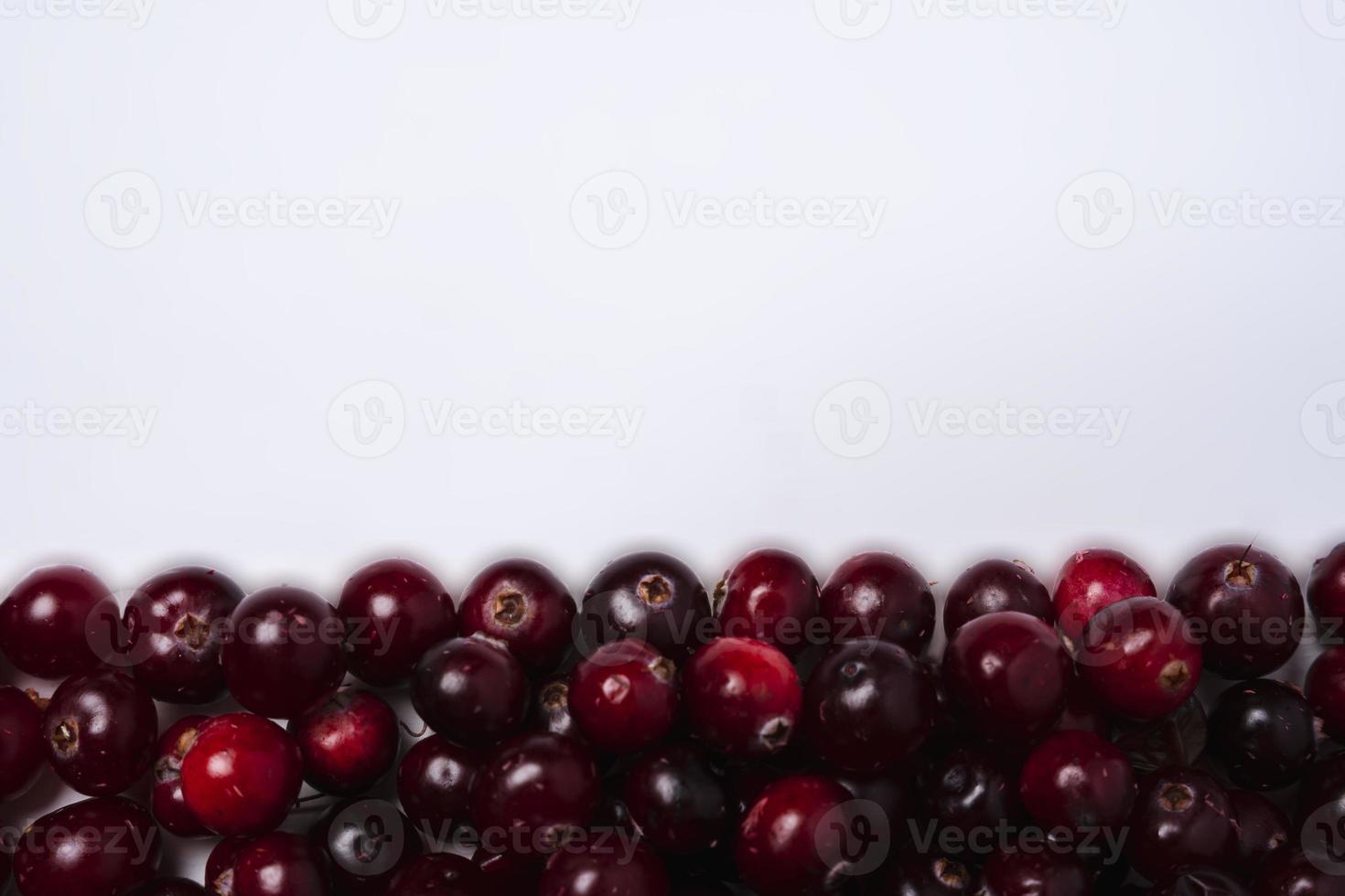 sfondo di maturo rosso mirtillo frutti di bosco e bianca spazio per copiando, superiore Visualizza di mirtillo frutti di bosco foto