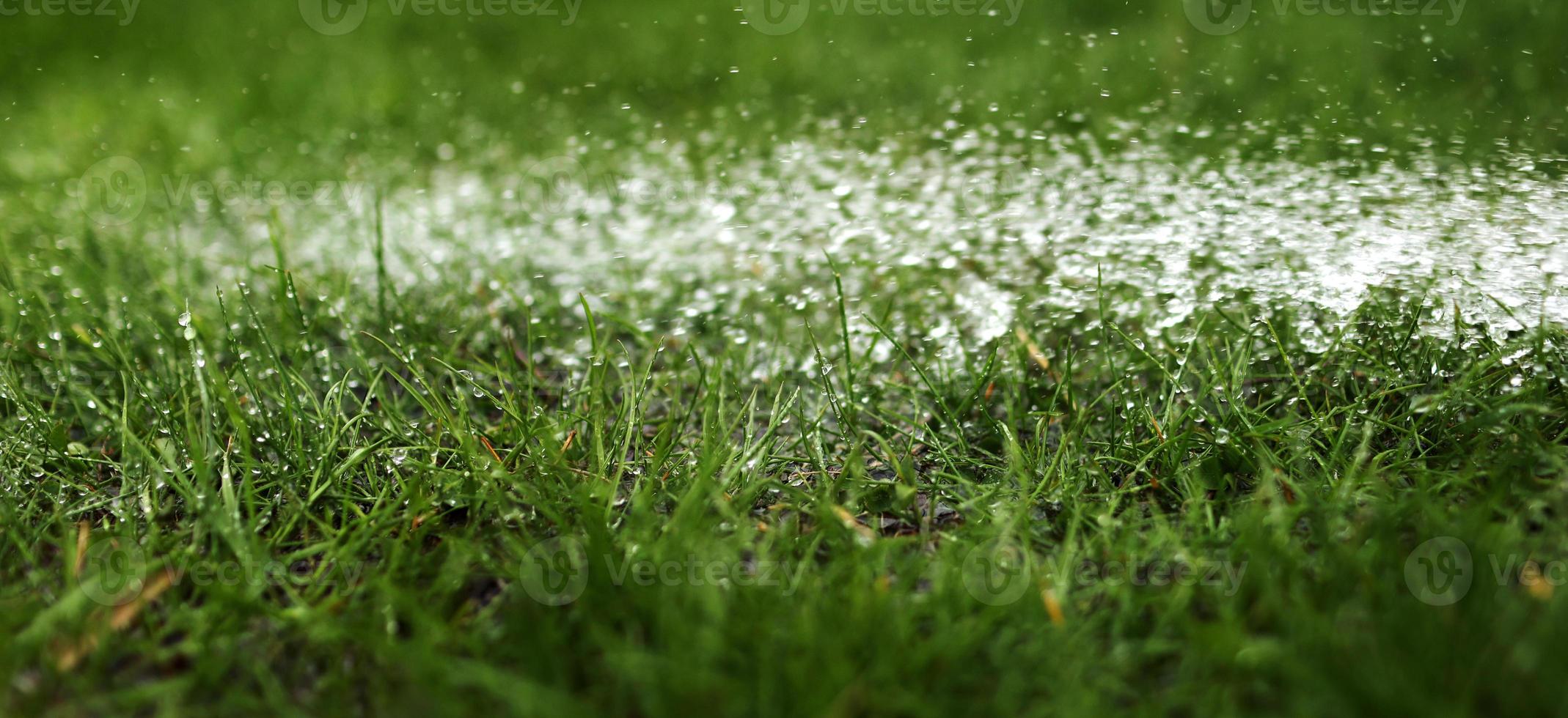 irrigazione il prato con acqua nel estate. giardinaggio concetto. gocce di acqua a partire dal il migliorativo irrigazione sistema siamo alimentato per crescere ns giardino impianti contro un' soleggiato giorno foto