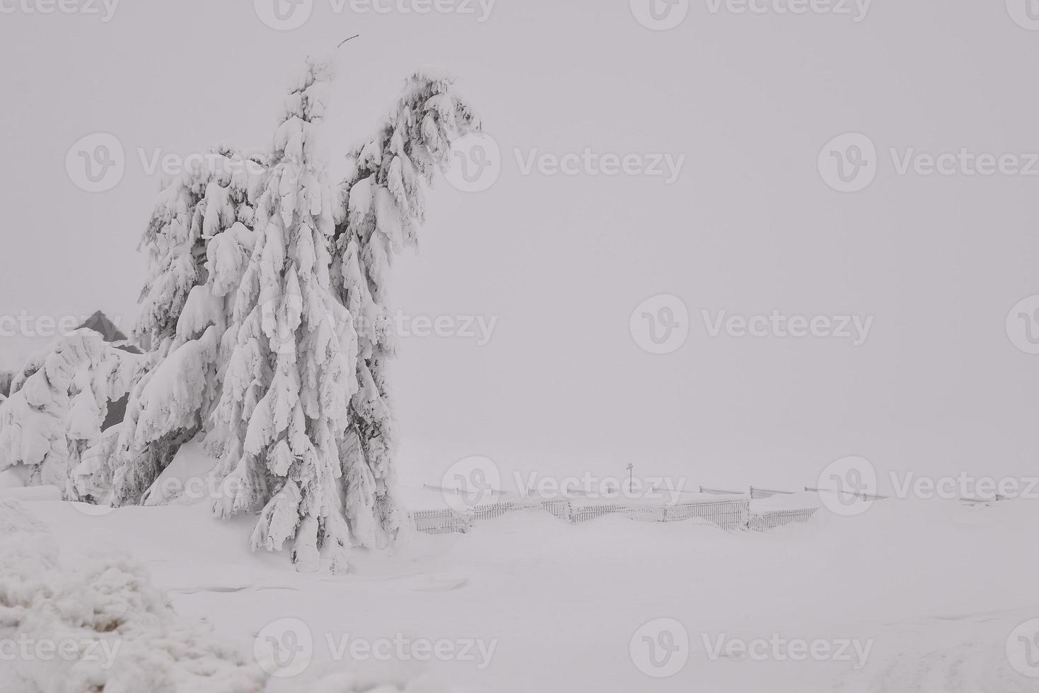 inverno nevoso strada nel montagnoso regione dopo pesante nevicata nel Romania foto