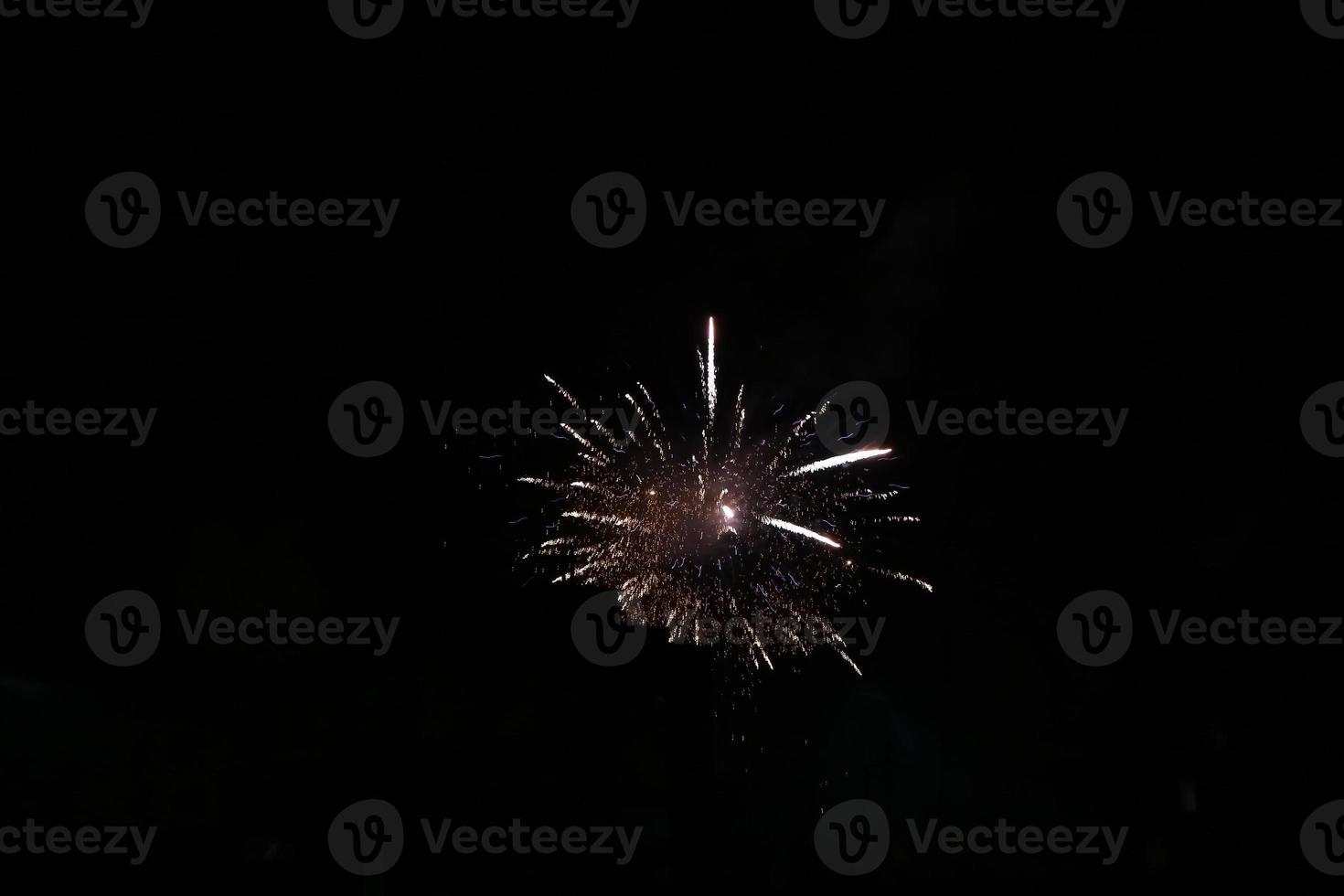 colorato fuochi d'artificio su il nero cielo foto