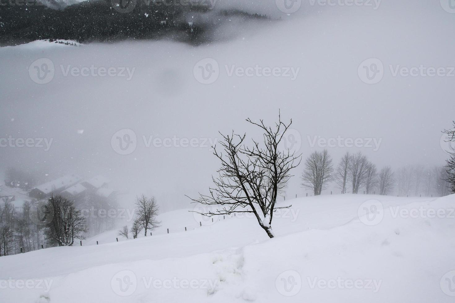 inverno paesaggio nel austriaco Alpi foto