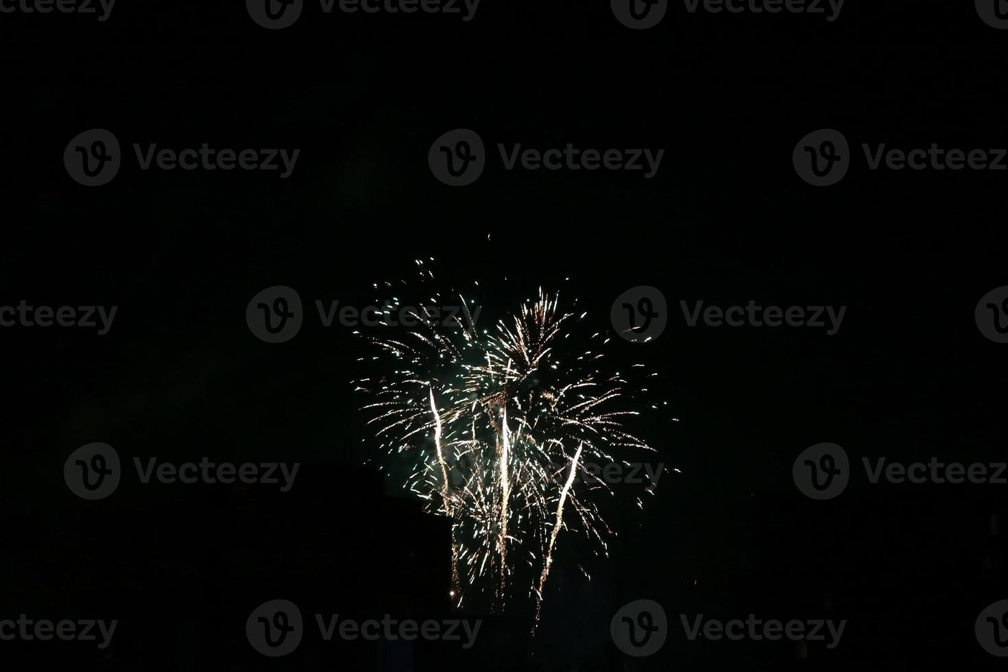 colorato fuochi d'artificio su il nero cielo foto