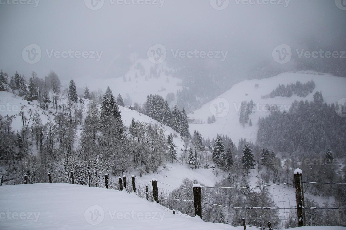 inverno paesaggio nel austriaco Alpi foto