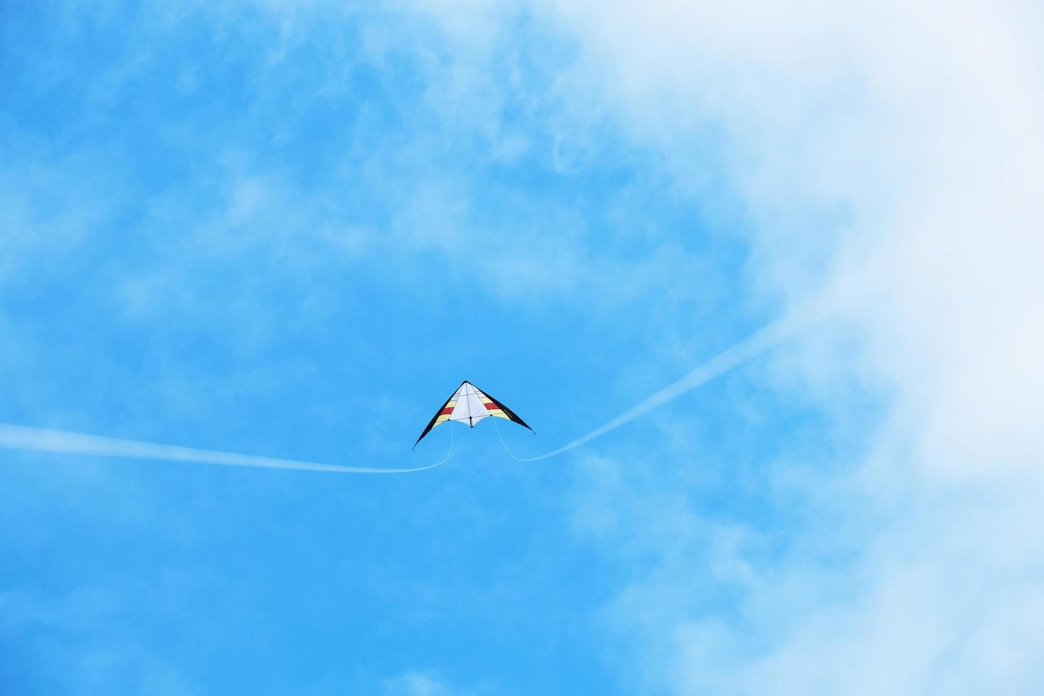 aquilone bianco e nero foto