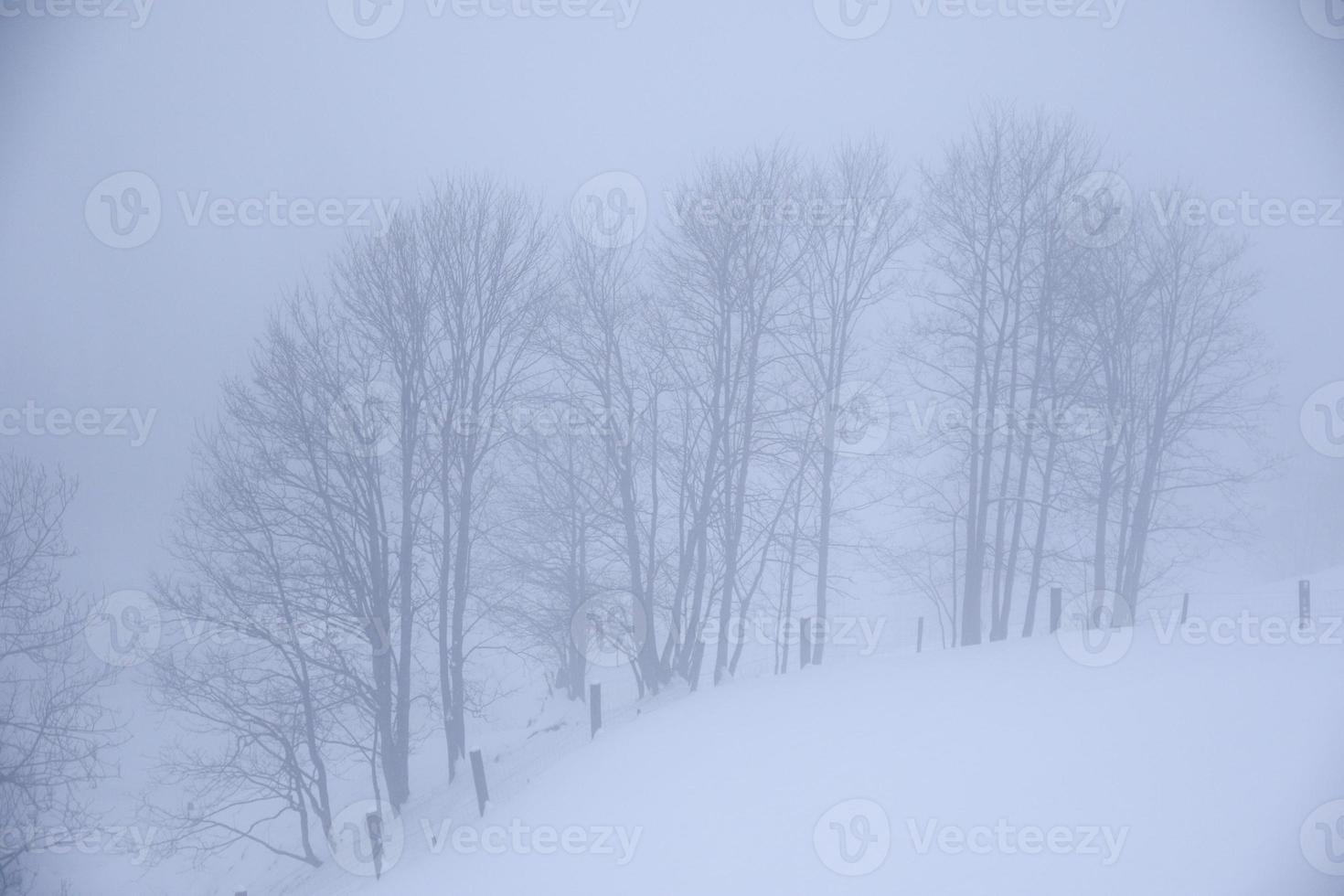 inverno paesaggio nel austriaco Alpi foto