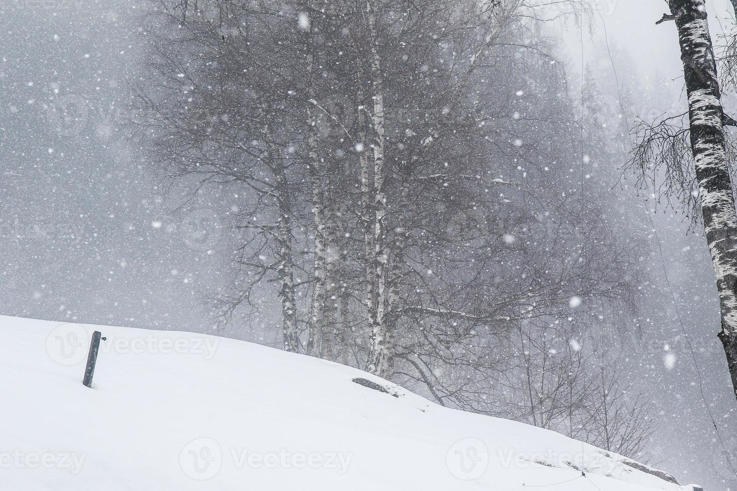 inverno paesaggio nel austriaco Alpi foto