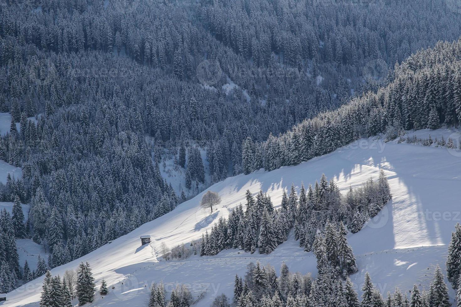 inverno paesaggio nel austriaco Alpi foto