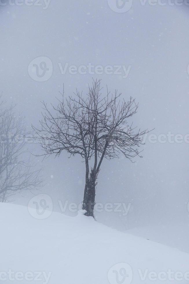 inverno paesaggio nel austriaco Alpi foto