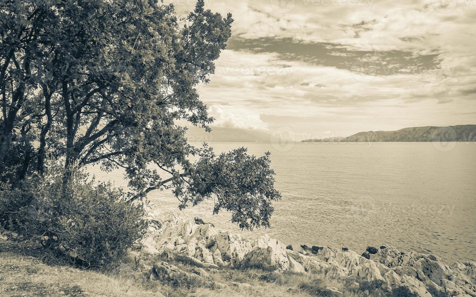 bellissimo mediterraneo paesaggio lungomare nel novità vinodolski Croazia dietro a alberi. foto