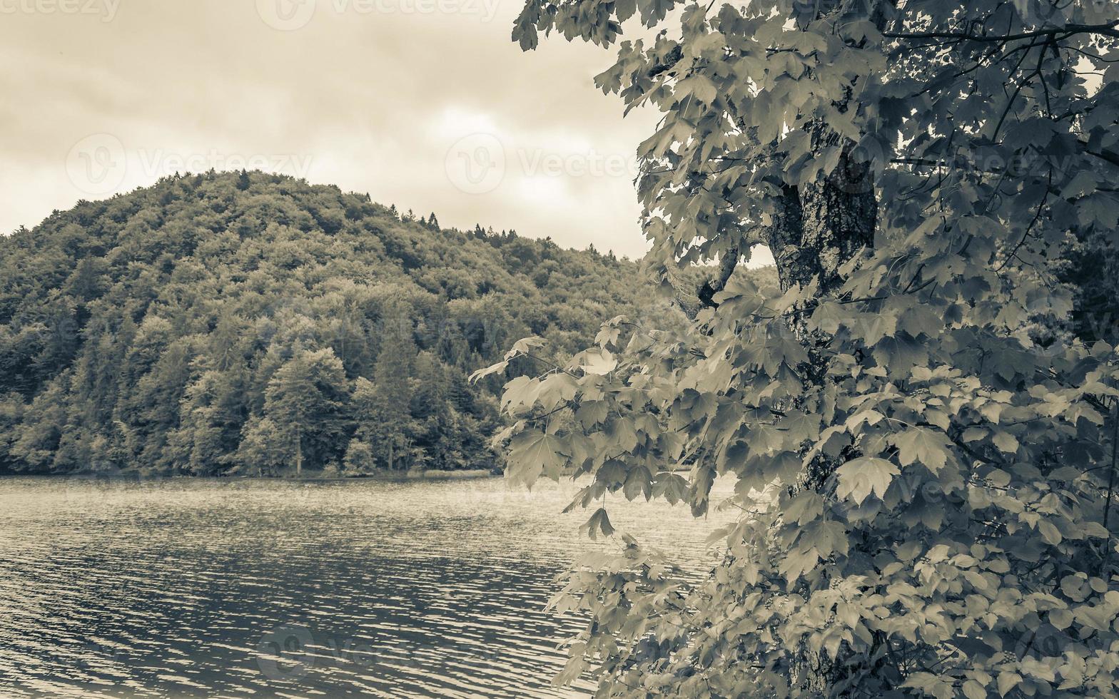 plitvice laghi nazionale parco colorato paesaggio turchese acqua nel Croazia. foto