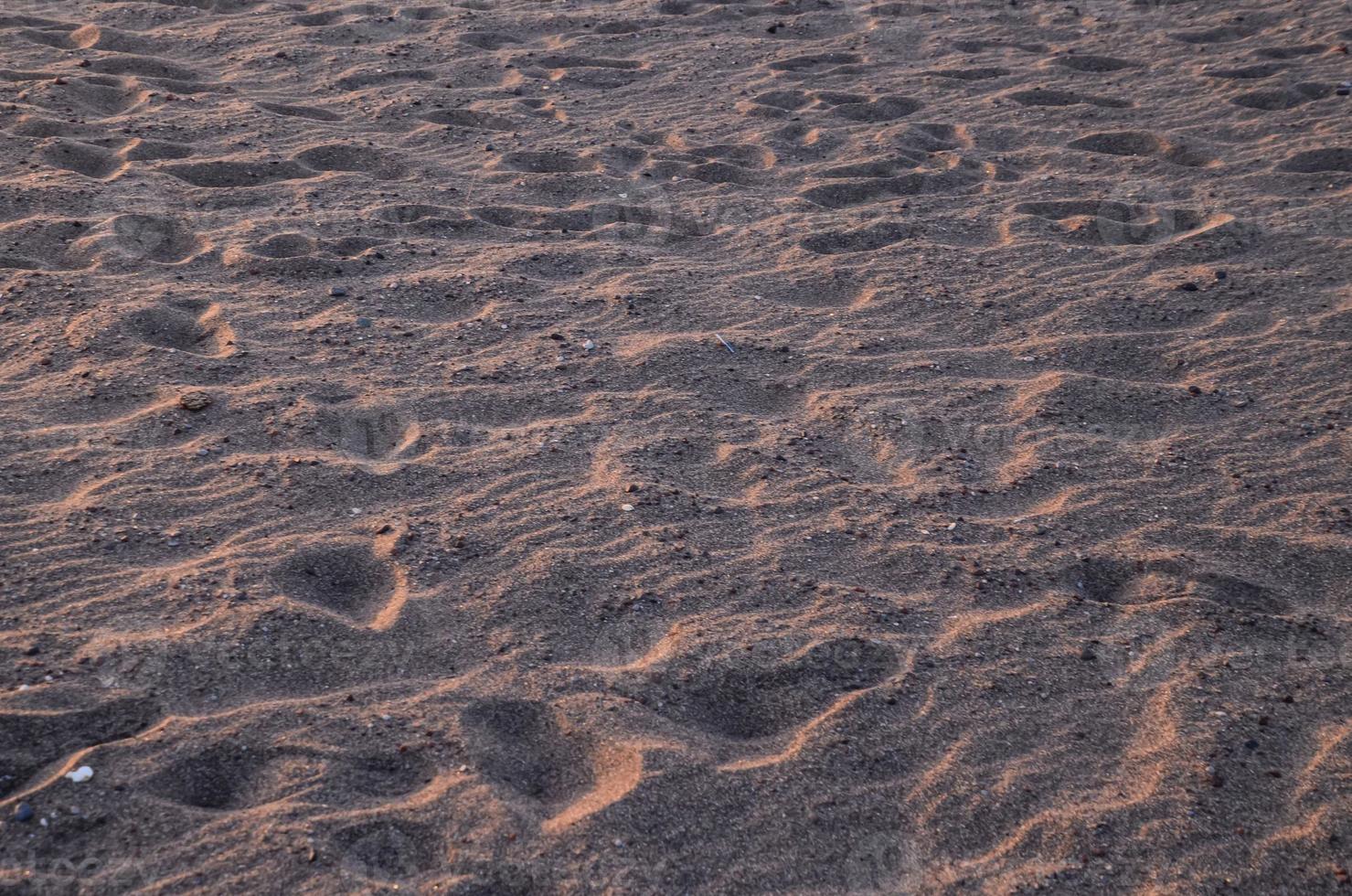 sabbia nel il deserto foto